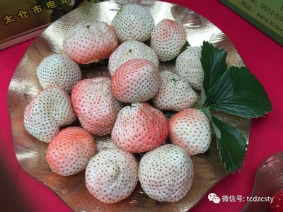 电站村农产品惊艳金陵，南京市场掀起抢购热潮