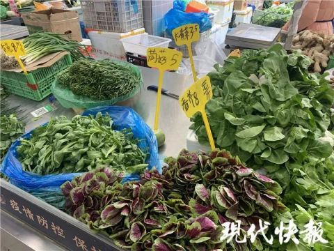 南京农产品价格稳步回落，市民菜篮子更显丰盈