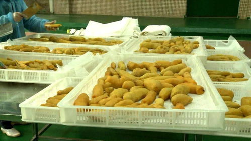 从“靠天吃饭”到“靠电升级” 潭布番薯干的现代化之路与南京农产品的智慧启迪