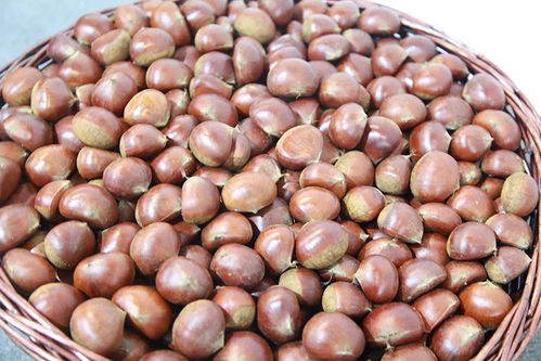 绿色田园，相约金陵——2018邳州绿色农产品南京展销会盛大启幕