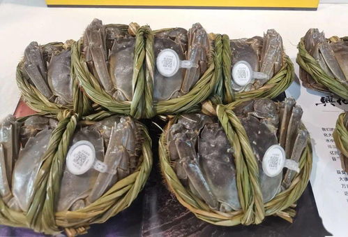 2020兴化市名特优农产品南京展销会今日盛大开幕 初级农产品销售抢眼