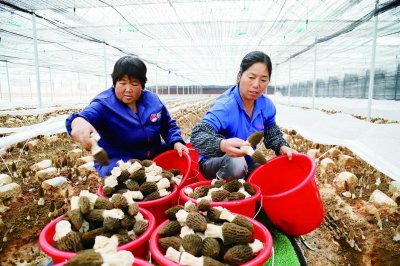 科技助力 外地农产品生根南京，初级农产品销售新模式
